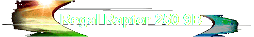 Regal Raptor 250 9B